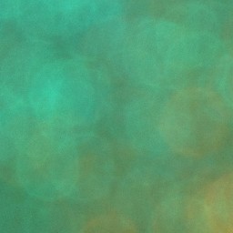 Bokeh-367